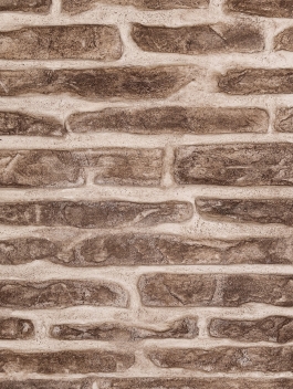 lovagi torna falplasztika